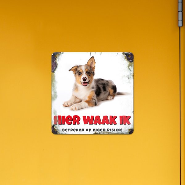GOZI TIN - 013 Hond - 20x20