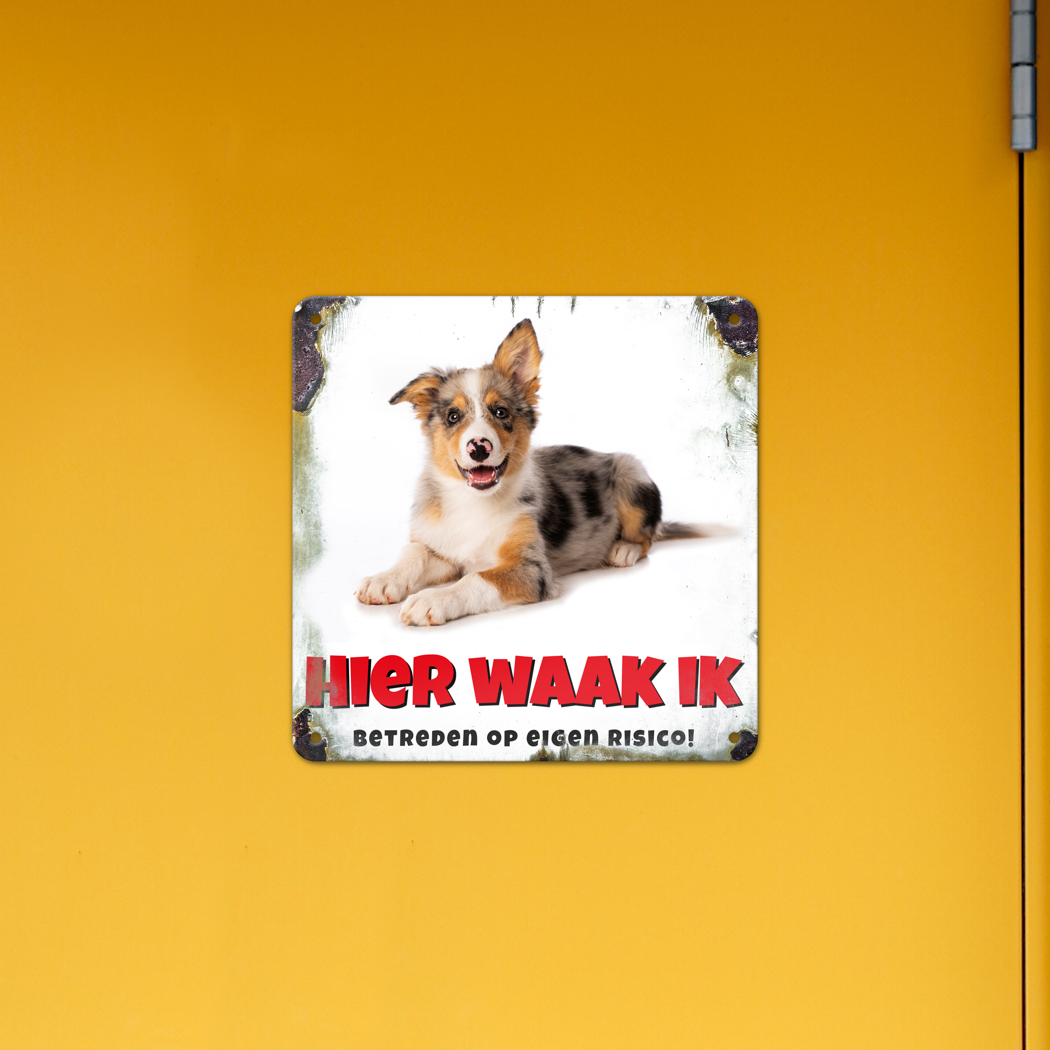 GOZI TIN - 013 Hond - 20x20