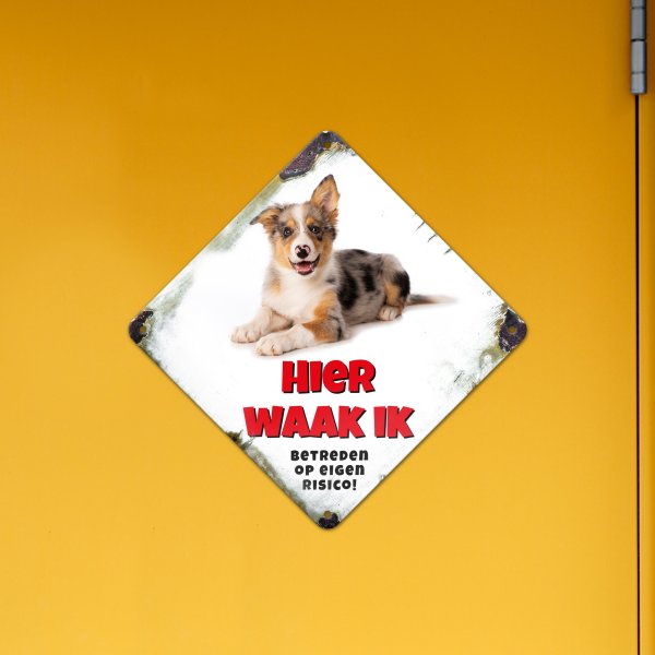 GOZI TIN - 013 Hond - 20x20R