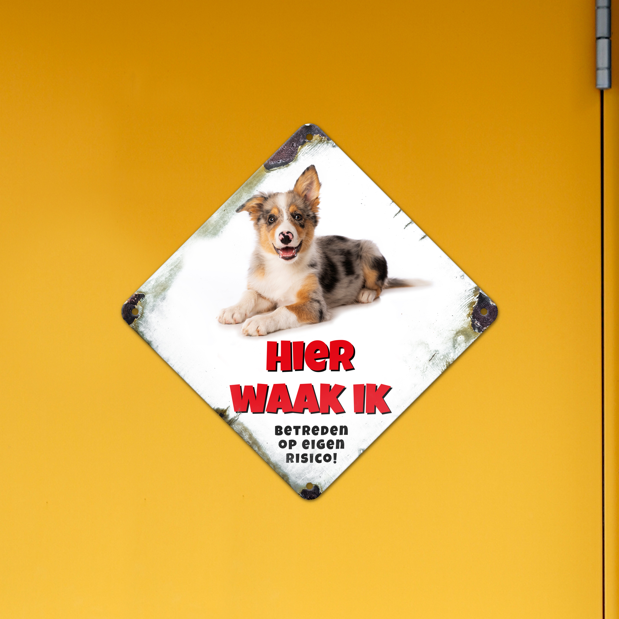 GOZI TIN - 013 Hond - 20x20R