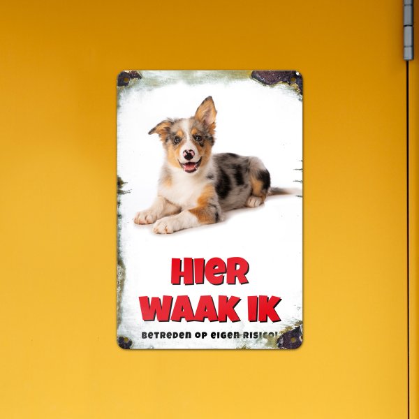 GOZI TIN - 013 Hond - 20x30