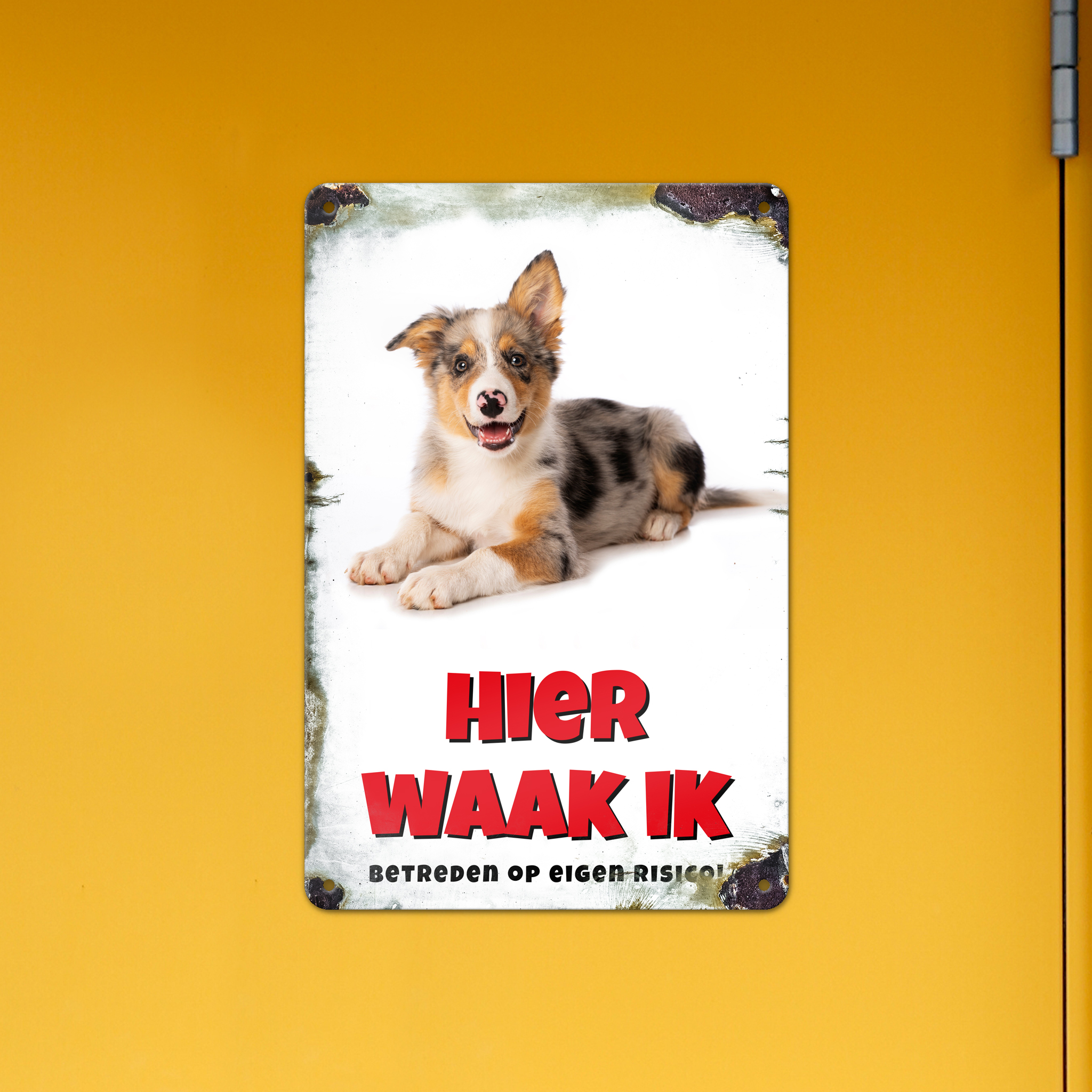 GOZI TIN - 013 Hond - 20x30