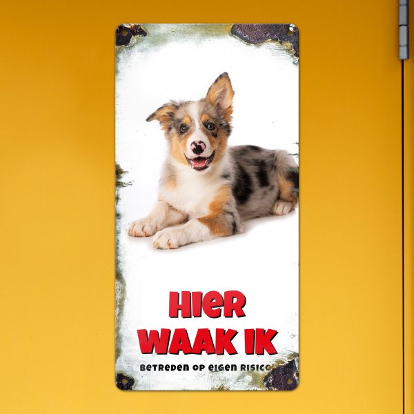 GOZI TIN - 013 Hond - 20x40