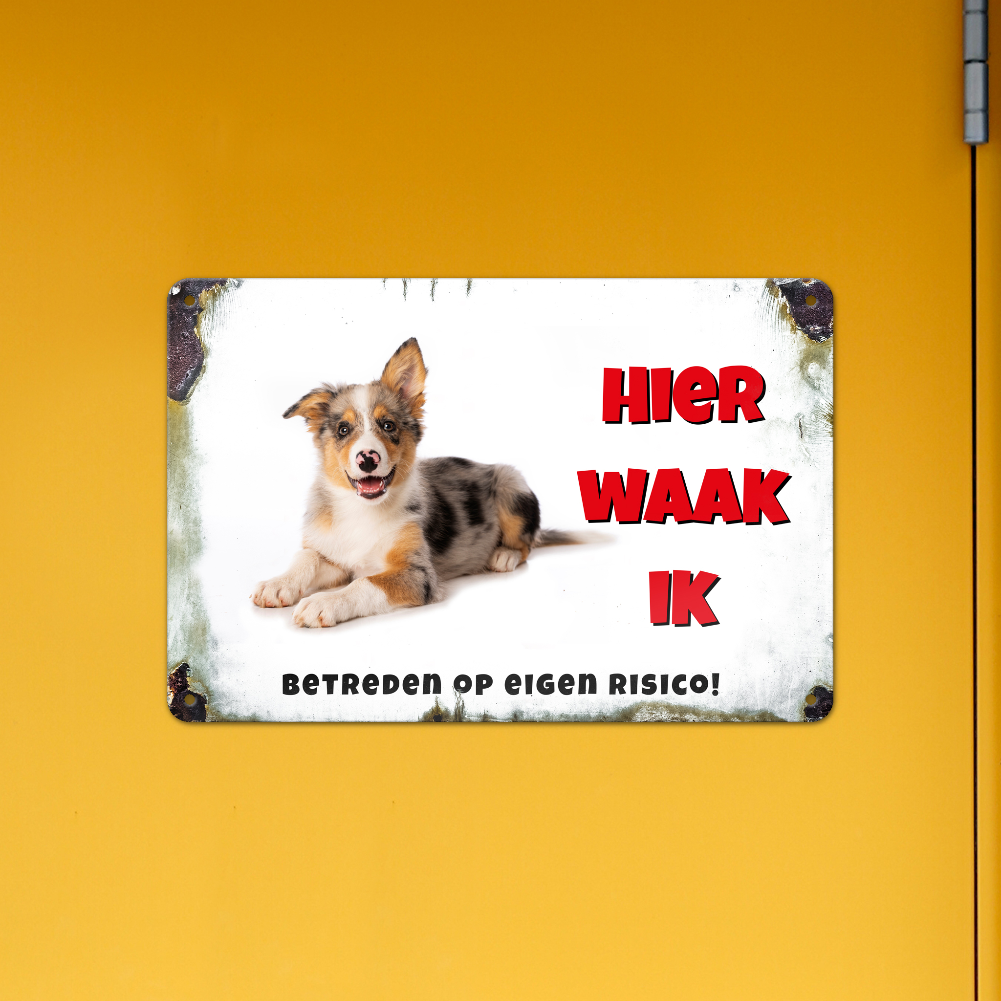 GOZI TIN - 013 Hond - 30x20