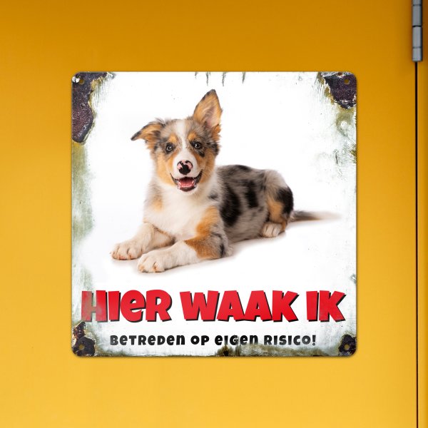 GOZI TIN - 013 Hond - 30x30