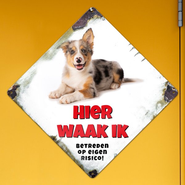 GOZI TIN - 013 Hond - 30x30R