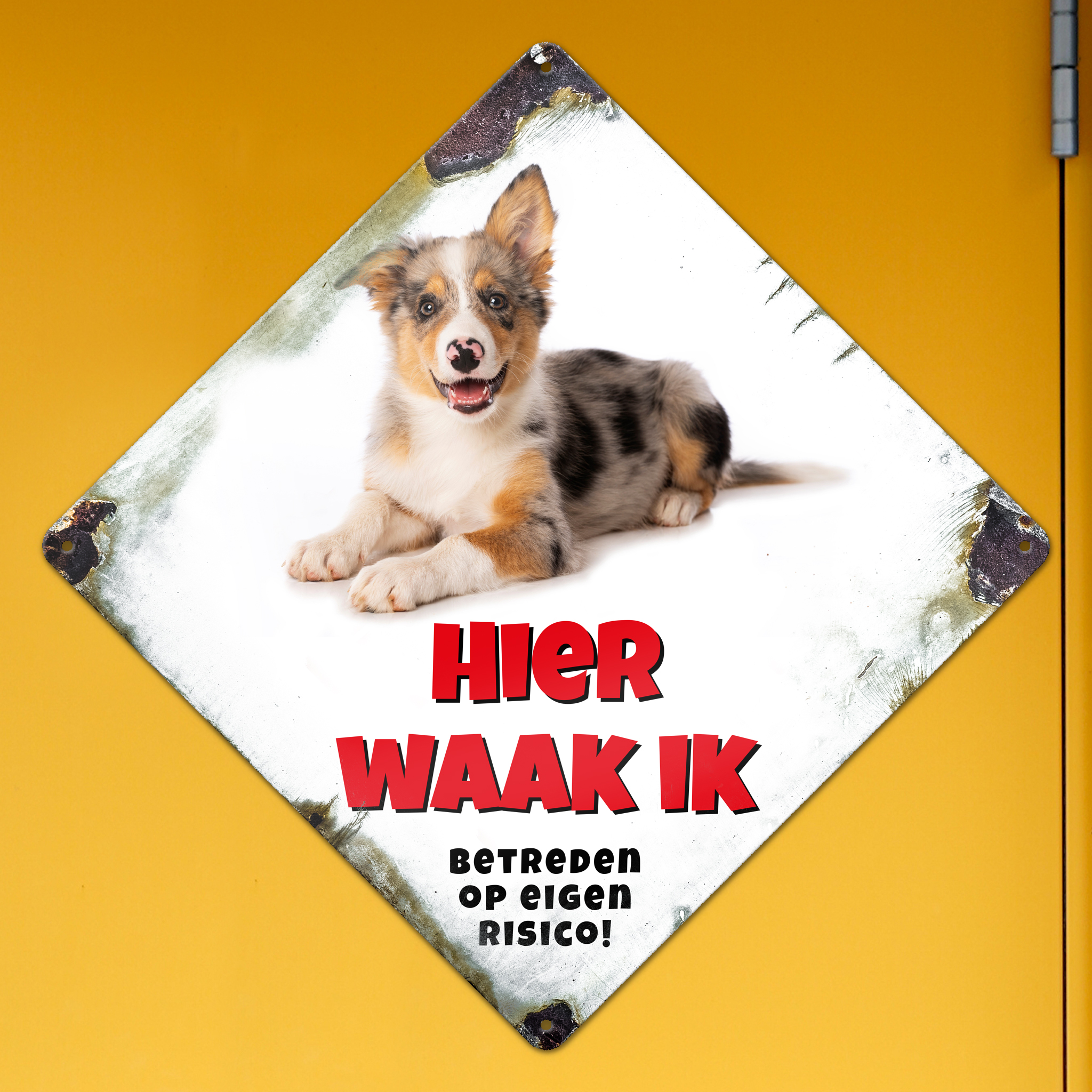 GOZI TIN - 013 Hond - 30x30R