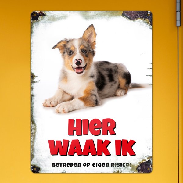 GOZI TIN - 013 Hond - 30x40
