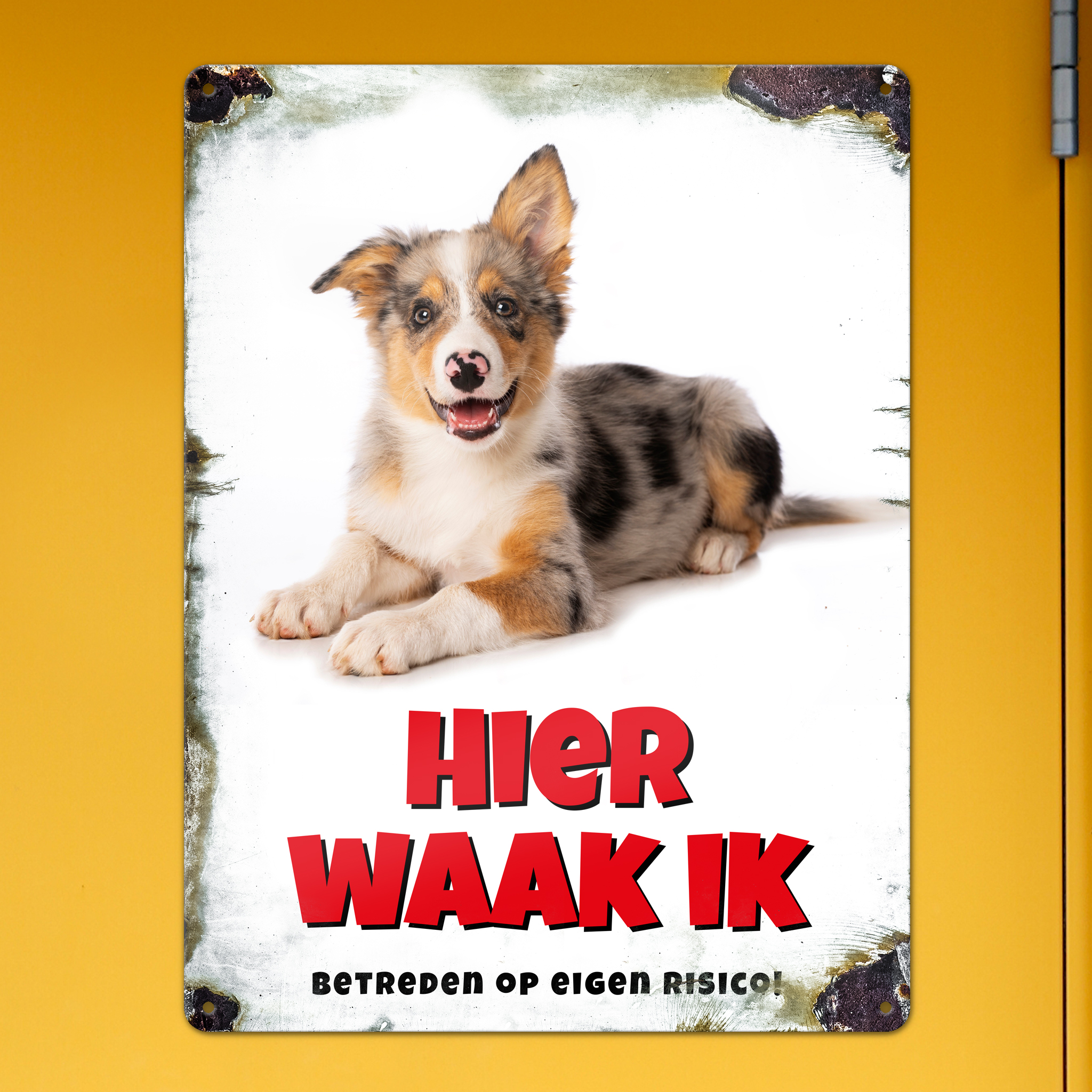 GOZI TIN - 013 Hond - 30x40