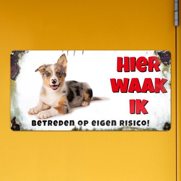 GOZI TIN - 013 Hond - 40x20