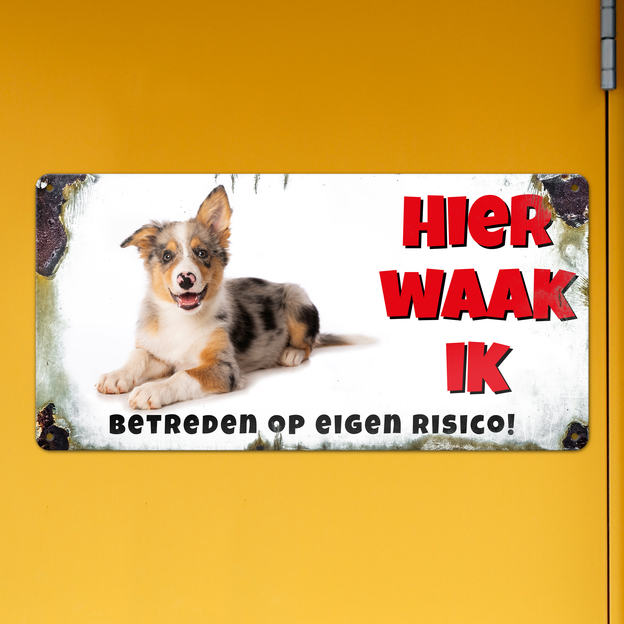 GOZI TIN - 013 Hond - 40x20