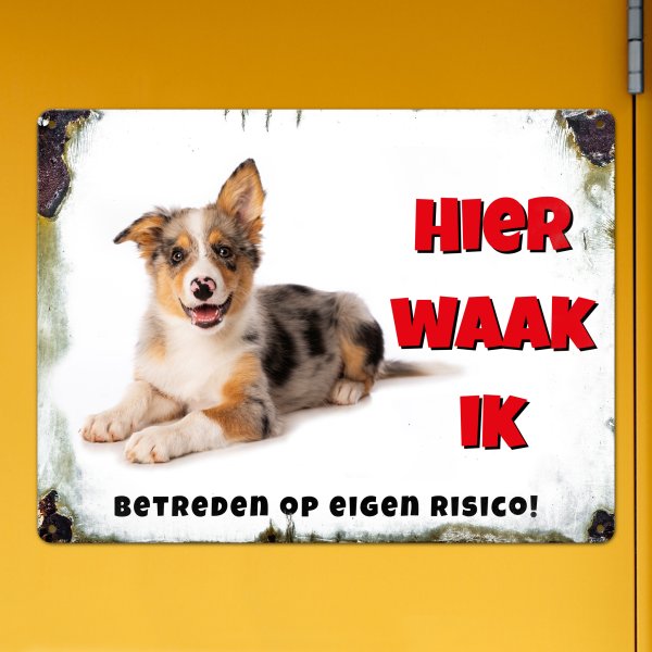 GOZI TIN - 013 Hond - 40x30