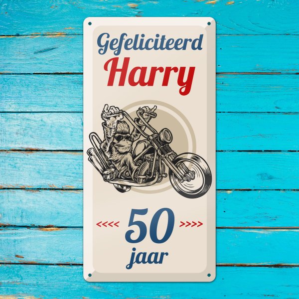 GOZI TIN - 014 Harry's Motor - 20x40