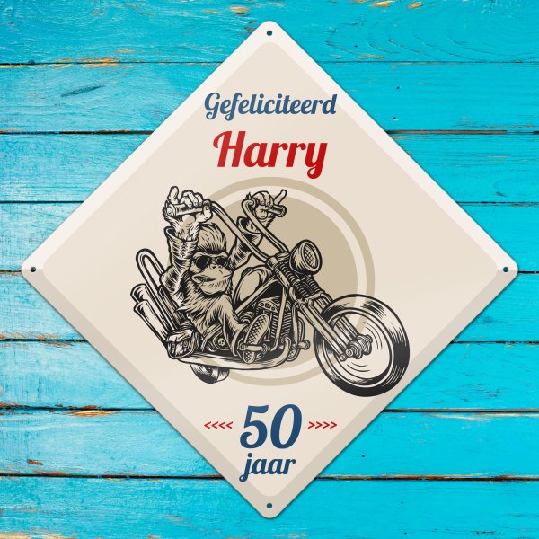 GOZI TIN - 014 Harry's Motor - 30x30R