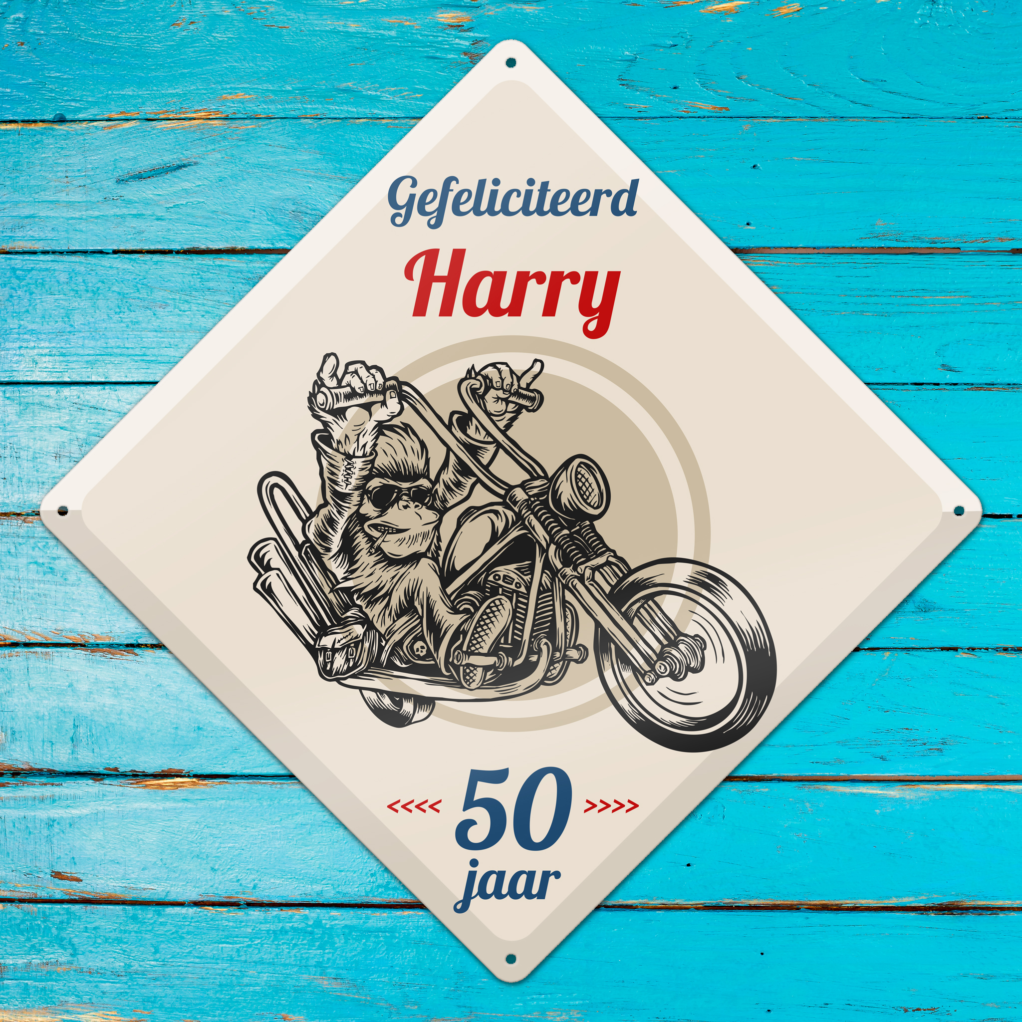 GOZI TIN - 014 Harry's Motor - 30x30R